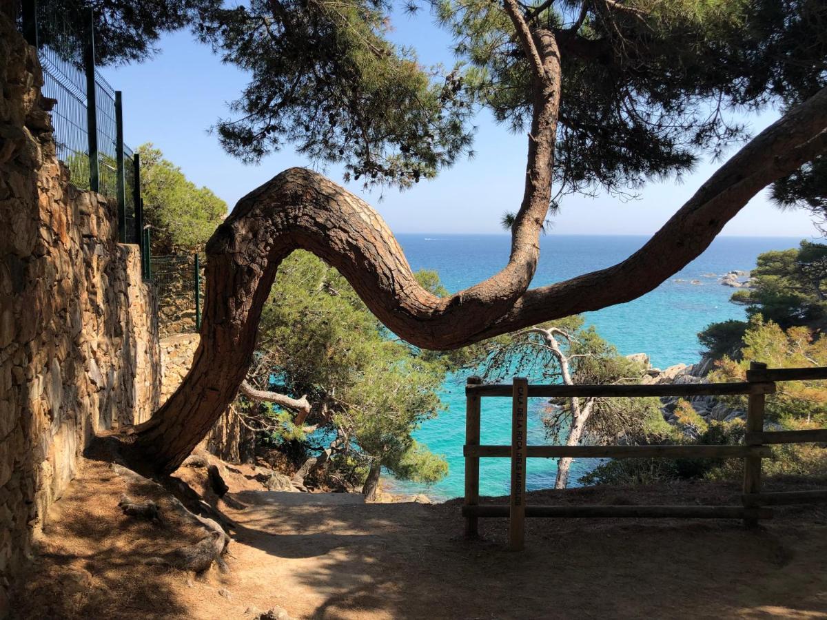 Excepcional 1ª Linea De Mar Platja D'Aro Elypalace 10-2 المظهر الخارجي الصورة